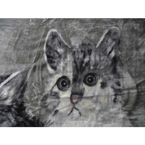 Ciceró Kék Szürke Pléd Ágytakaró 150 x 200 cm