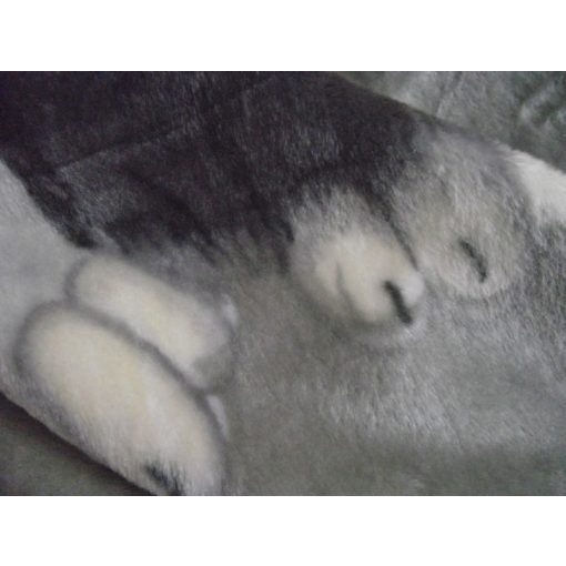 Ciceró Kék Szürke Pléd Ágytakaró 150 x 200 cm