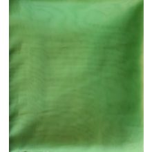 Milána Zöld Organza Függöny 250 x 300 cm