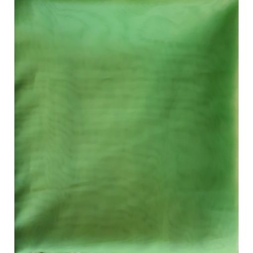 Milána Zöld Organza Függöny 250 x 300 cm