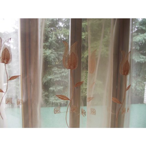 Zsuzska Barack Organza függöny - készre varrt 250 x 250 cm