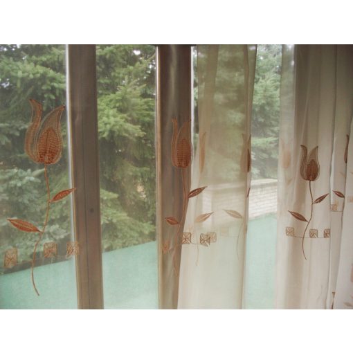 Zsuzska Barack Organza függöny - készre varrt 250 x 250 cm